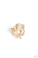 Load image into Gallery viewer, Seashell Showcase - Gold
